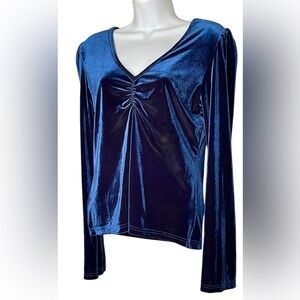 NWT❣️ Velvet V Neck Long Sleeve Top M